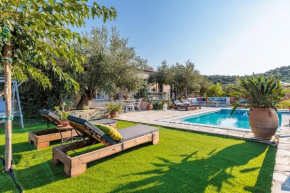 Skopelos Blue Heaven Pool Villa in olive grove